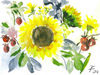Blumenstrauss − 2009