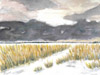Darßer Boddenlandschaft − 2011