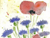 Kornblumen − 2010