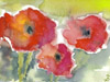 Mohnblumen − 2009