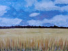 Landschaft bei Dessau − 2011