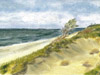 Ostsee − 2008
